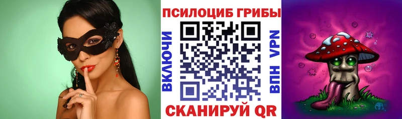 магазин продажи   Мамоново  Галлюциногенные грибы Psilocybe 